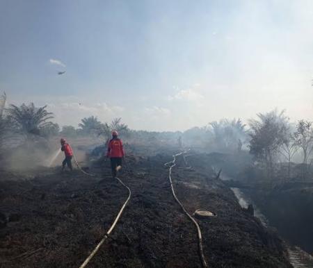 Ilustrasi hotspot di Riau semakin berkurang (foto/int)
